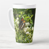 Californische zuster Butterfly in Yosemite Latte Mok (Linkerhoek)