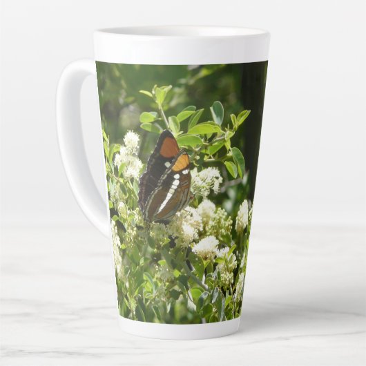 Californische zuster Butterfly in Yosemite Latte Mok (Linkerhoek)