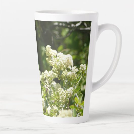 Californische zuster Butterfly in Yosemite Latte Mok (Rechts)