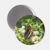 Californische zuster Butterfly in Yosemite Magneet (Voorkant / Achterkant)