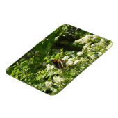 Californische zuster Butterfly in Yosemite Magneet (Linkerzijde)