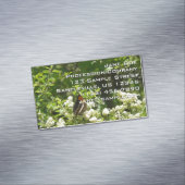 Californische zuster Butterfly in Yosemite Magnetisch Visitekaartje (Voorbeeld)