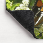 Californische zuster Butterfly in Yosemite Muismat (Hoek)