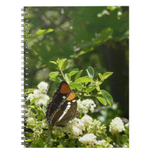 Californische zuster Butterfly in Yosemite Notitieboek
