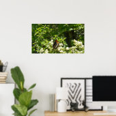 Californische zuster Butterfly in Yosemite Poster (Thuiskantoor)