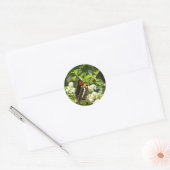 Californische zuster Butterfly in Yosemite Ronde Sticker (Envelop)