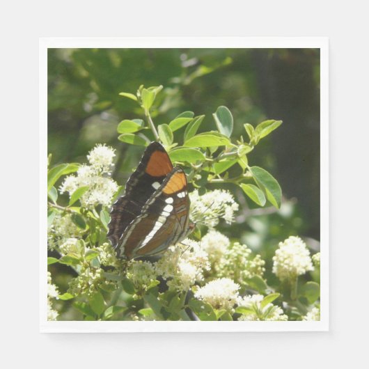 Californische zuster Butterfly in Yosemite Servet (Voorkant)
