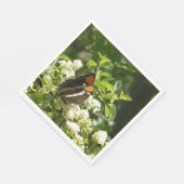 Californische zuster Butterfly in Yosemite Servet (Hoek)