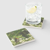 Californische zuster Butterfly in Yosemite Stenen Onderzetter (Zijkant)