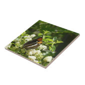 Californische zuster Butterfly in Yosemite Tegeltje (Zijkant)