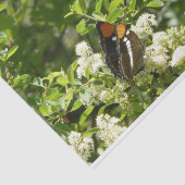 Californische zuster Butterfly in Yosemite Tissuepapier (Detail)
