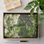 Californische zuster Butterfly in Yosemite Tissuepapier (Geschenk)