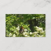 Californische zuster Butterfly in Yosemite Visitekaartje (Achterkant)