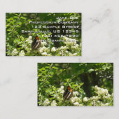 Californische zuster Butterfly in Yosemite Visitekaartje (Voorkant / Achterkant)