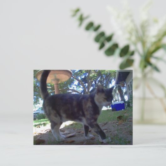 Caliope Briefkaart (Staand voorkant)