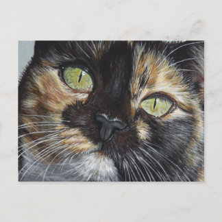 Cali's Stare Tortie Tortoiseshel Cat Painting Art Briefkaart