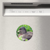 Call Duck Drake Magneet (Insitu (Vaatwasser))