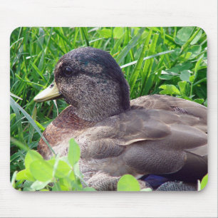 Call Duck Drake Muismat