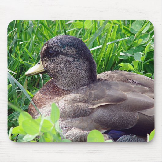 Call Duck Drake Muismat (Voorkant)