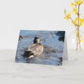 Call Duck Hen die speelt in Overstromend Gebied Kaart (Gele Bloem)