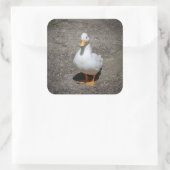 Call duck vierkante sticker (Tas)