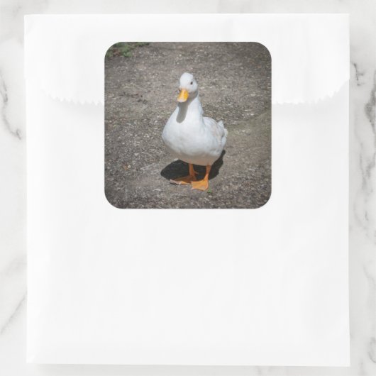 Call duck vierkante sticker (Tas)