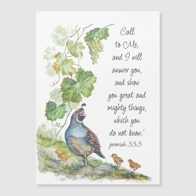 Call to Me Scripture Inspiration California Quail  (Voorkant)