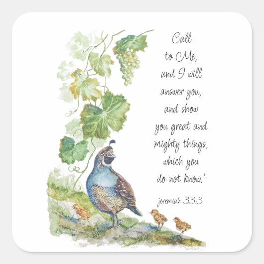 Call to Me Scripture Inspiration California Quail Vierkante Sticker (Voorkant)