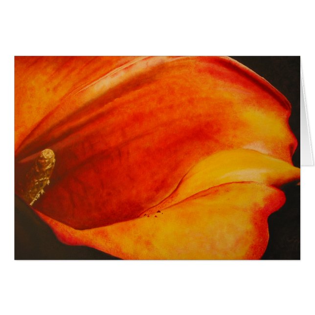 Calla (Voorkant Horizontaal)