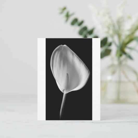 Calla #2 briefkaart (Staand voorkant)