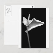 Calla #5 briefkaart (Voorkant / Achterkant)