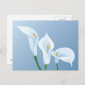 Calla bloemen briefkaart (Voorkant / Achterkant)