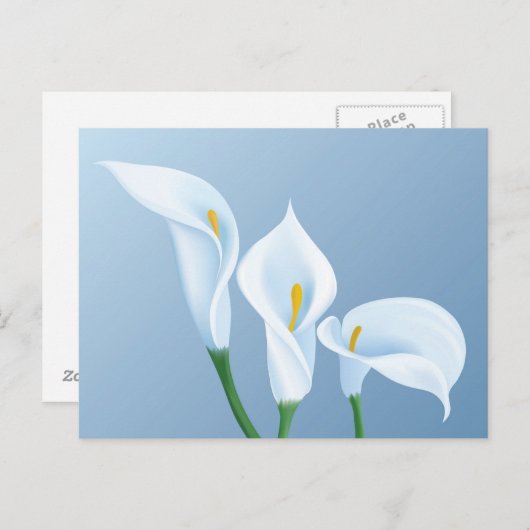 Calla bloemen briefkaart (Voorkant / Achterkant)