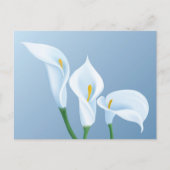 Calla bloemen briefkaart (Voorkant)