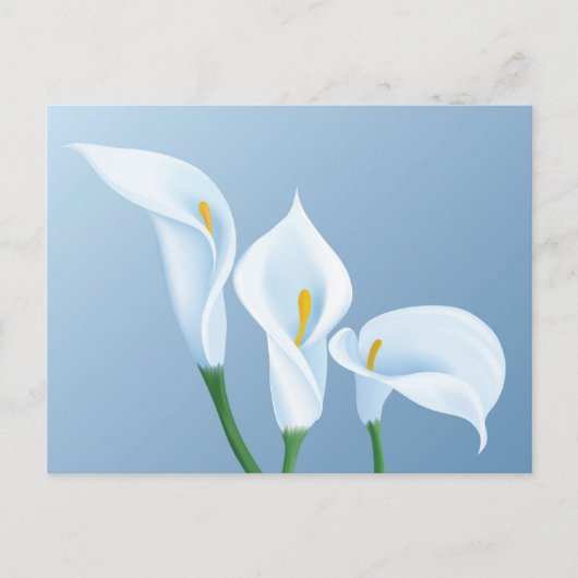 Calla bloemen briefkaart (Voorkant)