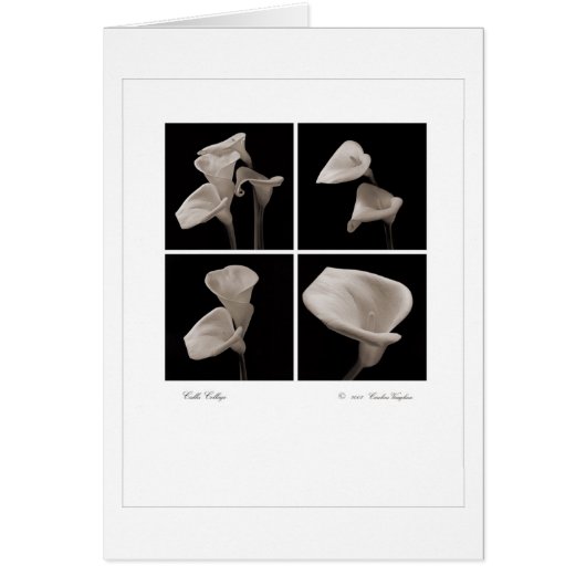 Calla_collage_2007_Brochure (Voorkant)