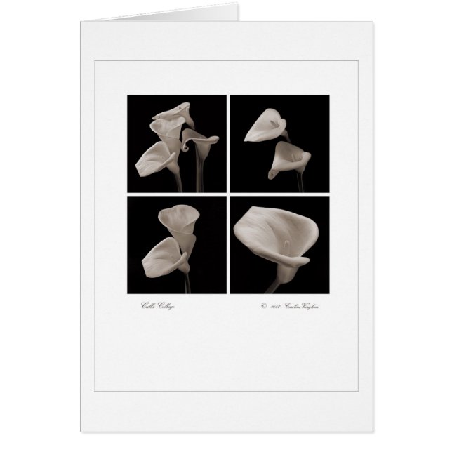 Calla_collage_2007_Brochure 2010 (Voorkant)