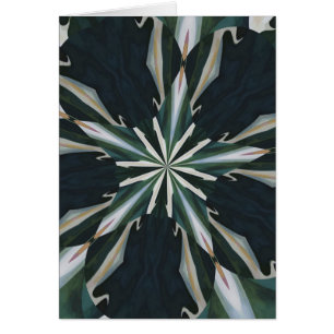 Calla de Caleidoscoop van de Ster van de Lelie