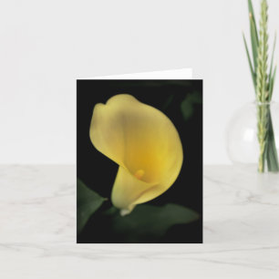 Calla de Kaart van de Lelie
