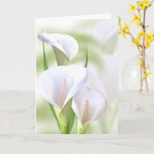 Calla de Kaart van Lilly (Gele Bloem)