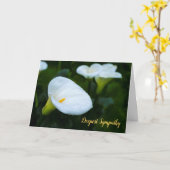 Calla de Sympathie van de Regendruppel van de Kaart (Gele Bloem)