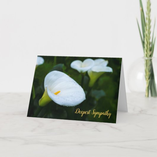 Calla de Sympathie van de Regendruppel van de Kaart (Voorkant)