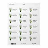 Calla Etiket (Full Sheet)