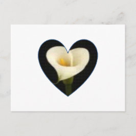 Calla het Briefkaart van het Hart van de Lelie