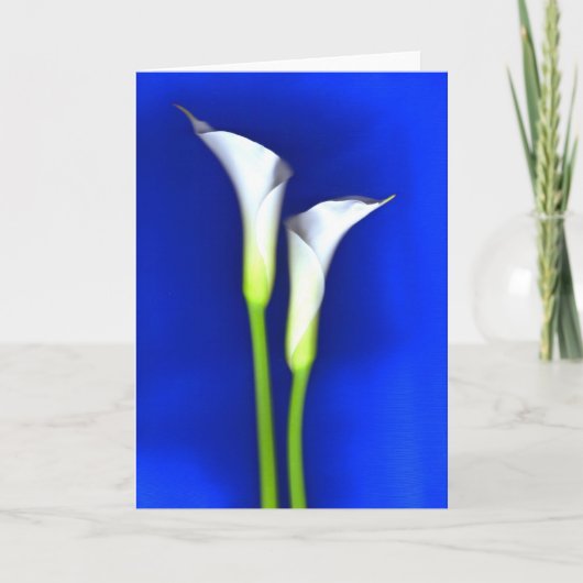 Calla het Wenskaart van de Lelie Kaart (Voorkant)