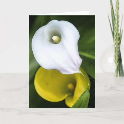 Calla het Wenskaart van de Lelie Kaart (Voorkant)