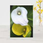 Calla het Wenskaart van de Lelie Kaart (Gele Bloem)