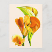 Calla lelie bloesem waterverf floraal briefkaart (Voorkant)