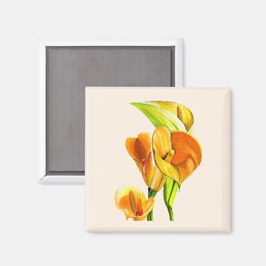 Calla lelie bloesem waterverf floraal magneet (Voorkant / Achterkant)