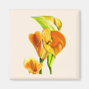 Calla lelie bloesem waterverf floraal magneet